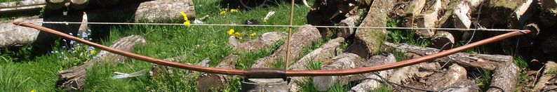corn_snaky_band_fin